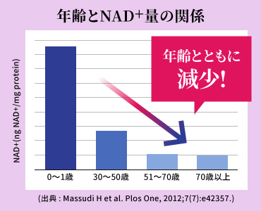 年齢とNAD+量の関係 グラフ