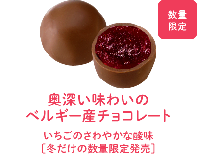 奥深い味わいのベルギー産チョコレート - いちごのさわやかな酸味
