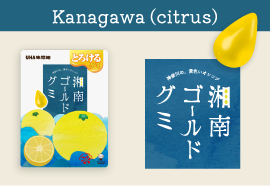 Kanagawa Shōnan Gold Citrus Gummy