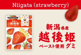 Niigata Echigohime Strawberry Gummy