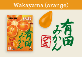 Wakayama Arida Mandarin Orange Gummy