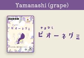 Yamanashi Pione Grapes Gummy