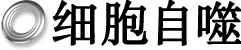 オートファジー研究所